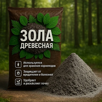Зола древесная