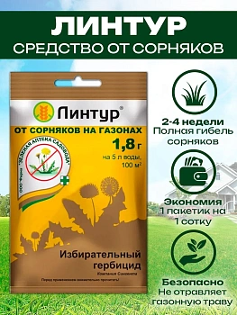 Линтур